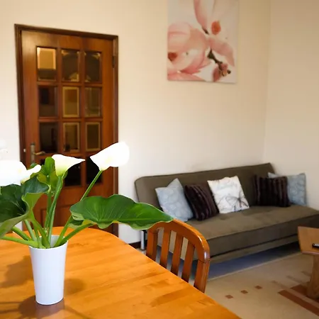 Eucalyptus Pink House Prázdninový dům