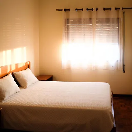 Eucalyptus Pink House