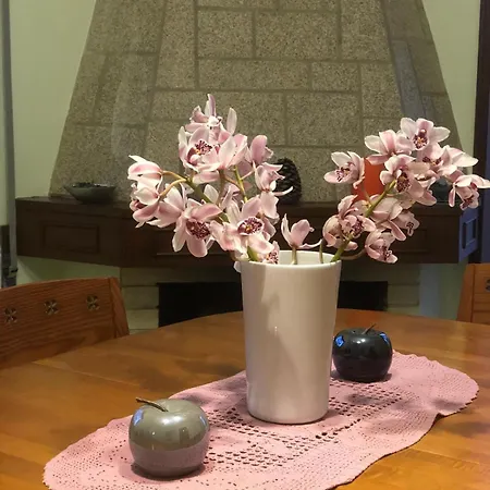 Eucalyptus Pink House 펜션 Covelo (Porto)