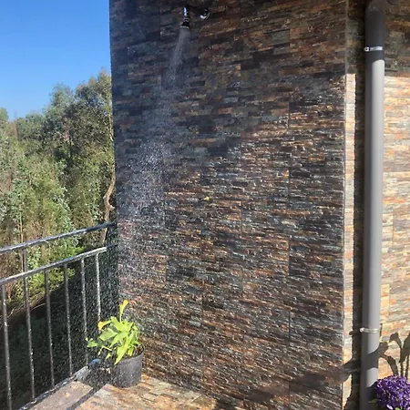 Eucalyptus Pink House Covelo (Porto)