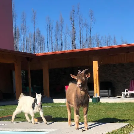 펜션 Eucalyptus Pink House *