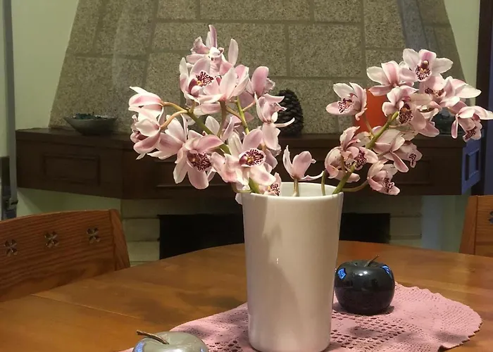 Eucalyptus Pink House 別荘 Covelo (Porto)