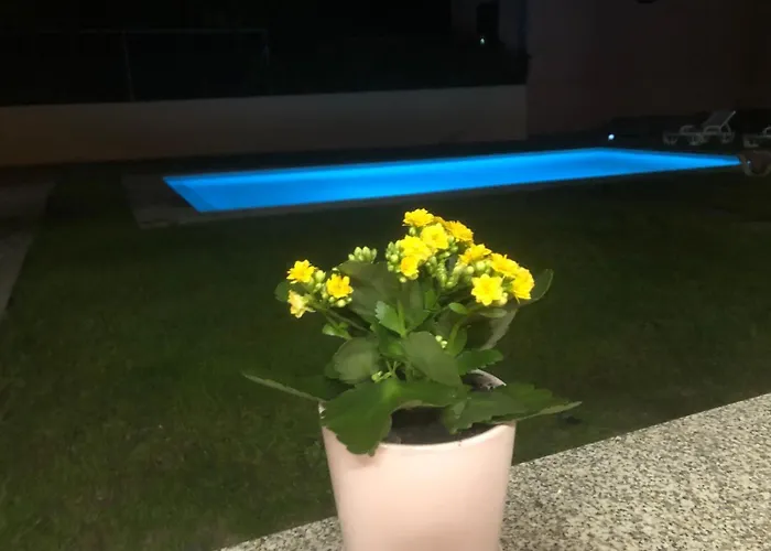 Eucalyptus Pink House