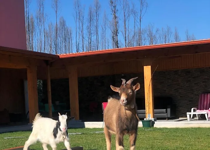 Semesterbostad Eucalyptus Pink House *