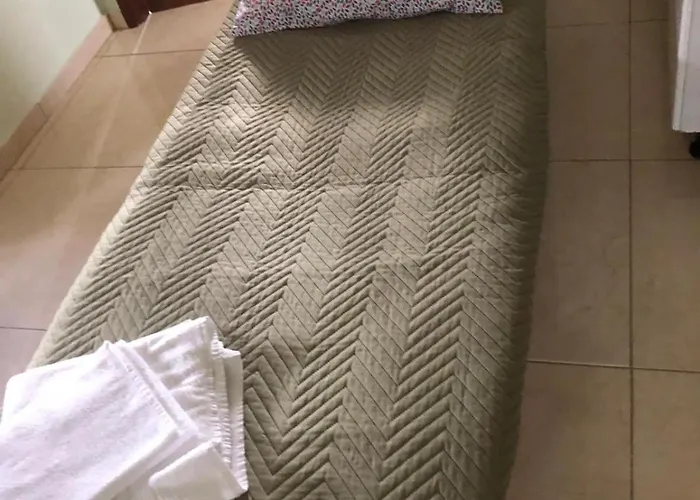 Eucalyptus Pink House *